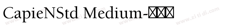 CapieNStd Medium字体转换